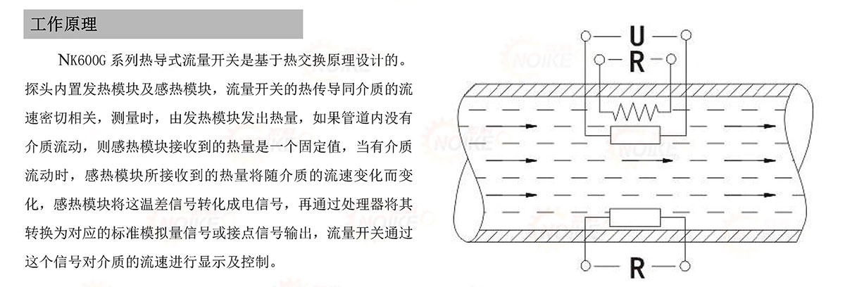 耐高溫十燈顯示流量開關(guān) NK600G型